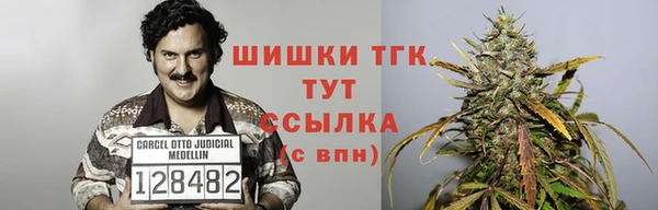 хмурый Верхний Тагил